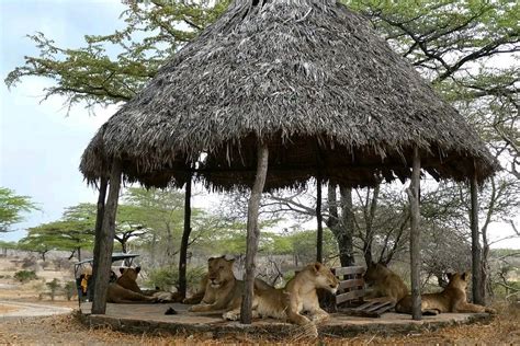 mwanza cultural tourism centre