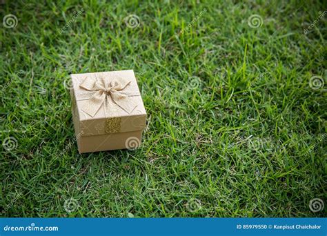 Caixa De Presente Dourada Do Natal Na Grama Verde Foto De Stock