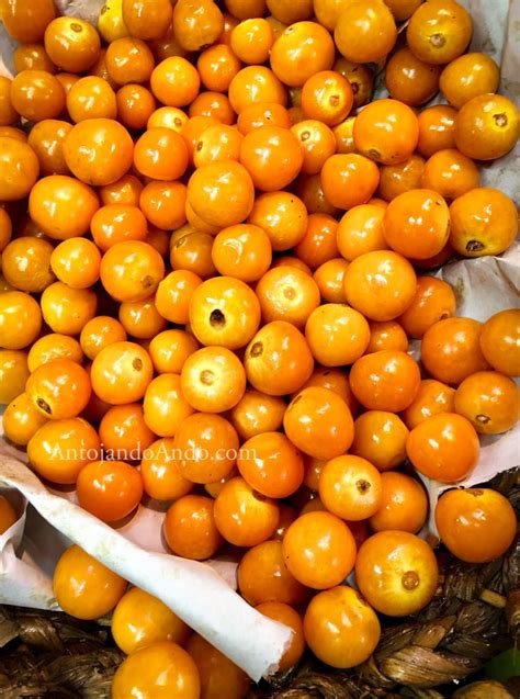 Frutas De Colombia Uchuva Golden Berry Uchuva Frutas Y Verduras