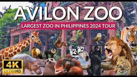 Avilon Zoo Full Tour The Largest Zoo In Philippines New Animals