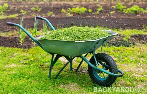 How To Compost Grass Clippings Fast