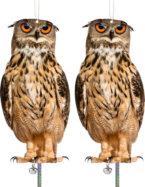 Amazon Fake Owl To Keep Birds Away Bird Scare Devices Cardboard