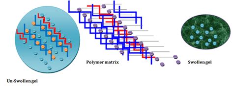 Role Of Biological Scaffolds Hydro Gels And Stem Cells In Tissue Regeneration Therapy