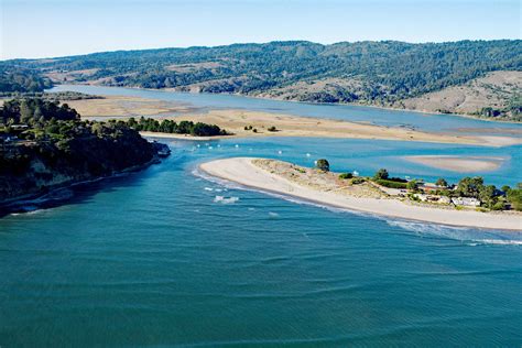 Bolinas Lagoon And Five Brooks Pond Egg Citing Im Peck Able Birds