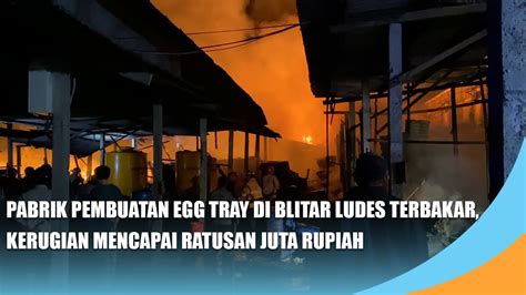 BLITAR Pabrik Pembuatan Egg Tray Ludes Terbakar Kerugian Mencapai