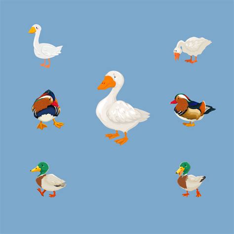 7 Duck Svg Designs Masterbundles