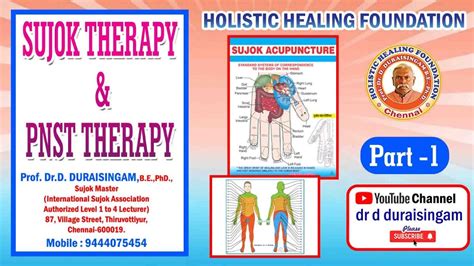 Part 1 Sujok Therapy And Pnst Therapy Online Classes By Prof Dr D Duraisingam Sujok Master Youtube