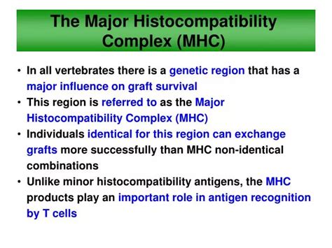 The Major Histocompatibility Complex Mhc Types Their Structure And Riset