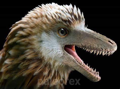 a bird with its mouth open and it's teeth wide open to reveal an interesting creature