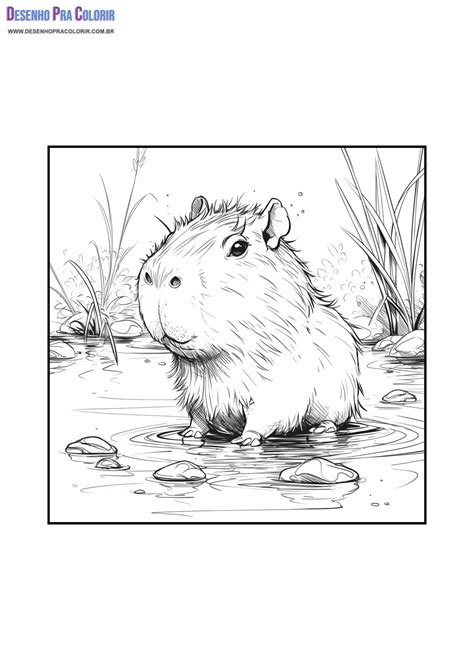 Imagem De Capivara Para Desenhar - 10