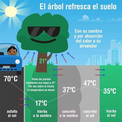 Crónicas de la Tierra sin Mal El árbol refresca el suelo