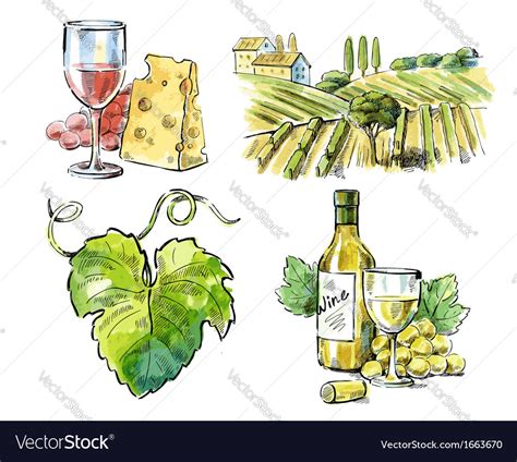 Hand Drawn Wine Royalty Free Vector Image VectorStock