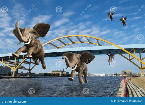 Surreal Flying Elephants Amazing Wildlife Stock Photo Image Of