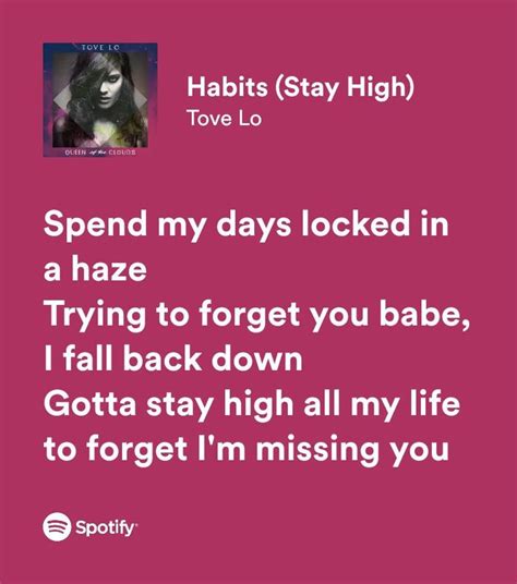 Habits Stay High Spotify Lyrics