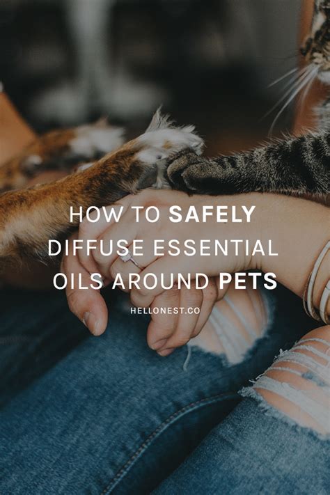 How To Safely Diffuse Essential Oils Around Pets Hello Nest