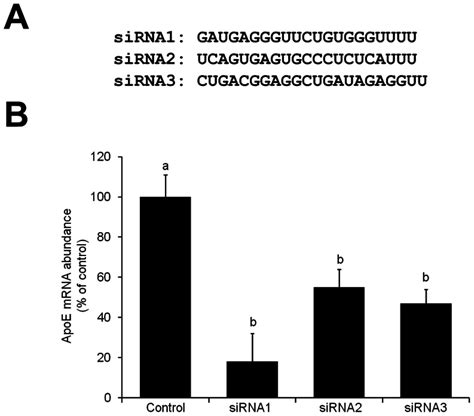 A Synthetic Sirnas Sequences Sirna1 Sirna2 And Sirna3 Targeting