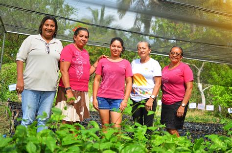 Mulheres da Amazônia brasileira aprendem a usar ferramentas