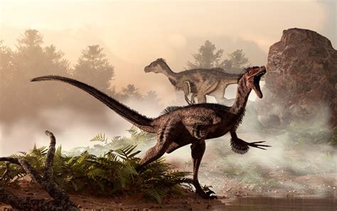 How Dinosaurs Shrank and Became Birds - Scientific American