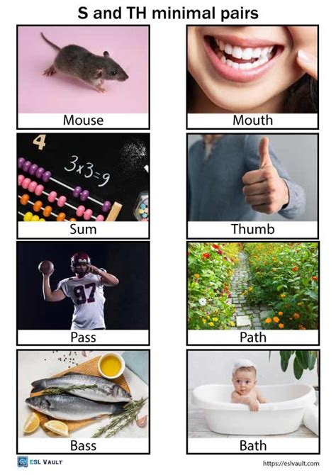 Free S And Th Minimal Pairs Picture Cards Esl Vault