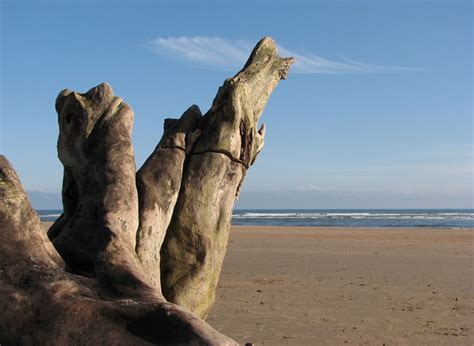 Alnmouth beach Photo | UK Beach Guide