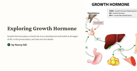 Exploring Growth Hormone