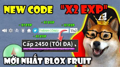 New X Exp Codes For Blox Fruits July Image To U Hot Sex Picture