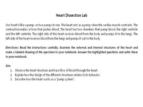 Heart Dissection Lab Ppt