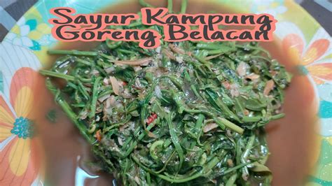 Masak Pucuk Miding Goreng Belacan Sayur Kampung Youtube