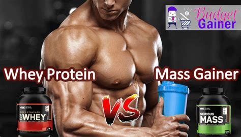 Best Mass Gainer Or Whey Protein For Skinny Fat Saving Gain