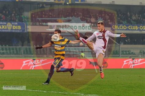 Hellas Verona Salernitana Tutte Le Immagini U S Salernitana