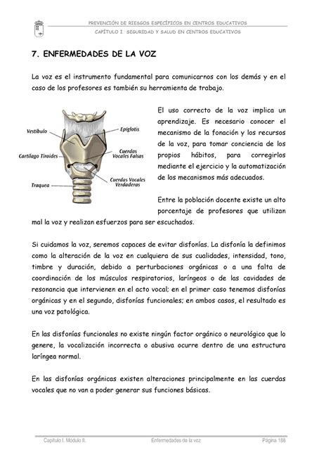 18308 Enfermedades De La Voz CapÍtulo I Seguridad Y Salud En Centros