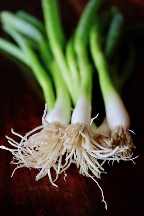 Grilled Green Onions Cooking On The Weekends