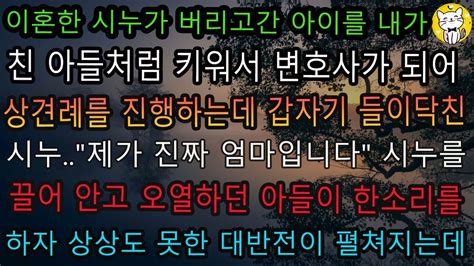 실화사연이혼한 시누가 버리고 간 아이를 내가 친 아들처럼 키워서 변호사가 되어 상견례를 진행하는데 갑자기 들이닥친 시누