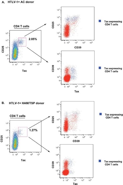 Tax Expression In CD4 T Cells Of HTLV 1 Infected Subjects