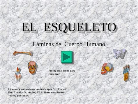 Ppt El Esqueleto L Minas Del Cuerpo Humano Pincha En El Icono Para