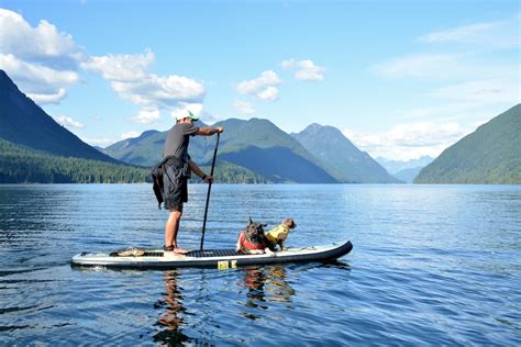 5 Step Guide to SUP With Your Dog