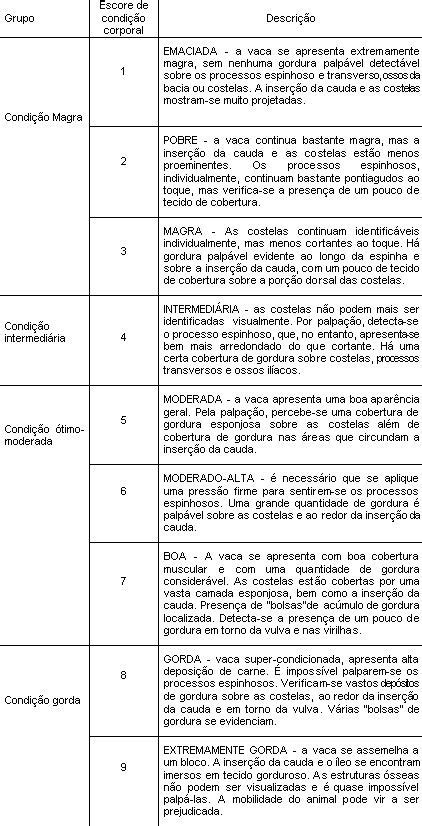 Escore De Condi O Corporal Em Vacas De Corte Saiba Como Utilizar De