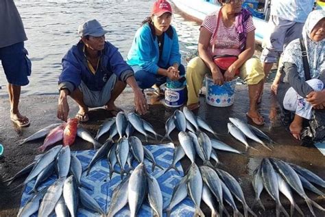 Tingkat Konsumsi Makan Ikan Masih Rendah DKP Jateng Ajak Siswa Sejak