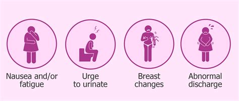 Blastocyst Implantation Timeline