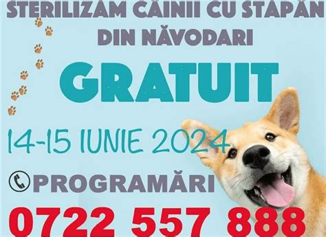 Continu Campania De Sterilizare Gratuit A C Inilor Cu St P Ni Din