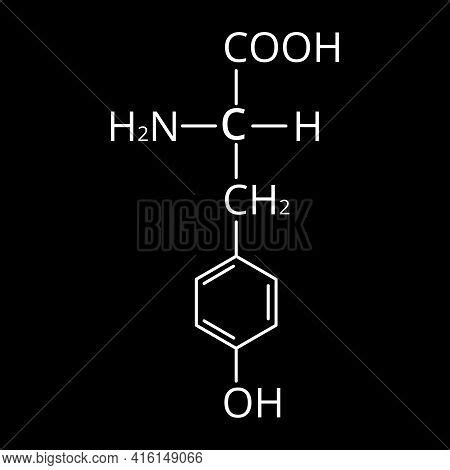 Amino Acid Tyrosine. Vector & Photo (Free Trial) | Bigstock