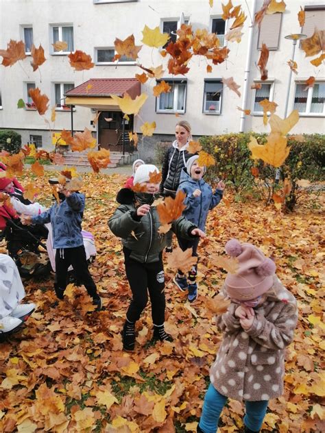 Pan Listopad Przedszkole Nr Pod Grzybkiem W Rawiczu