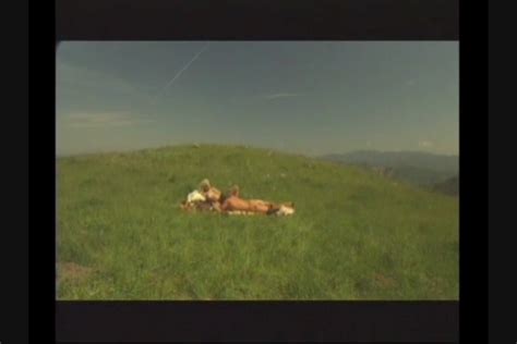 Boob A Licious Babes Streaming Video On Demand Adult Empire