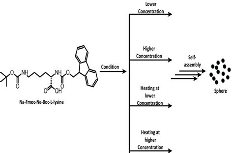 Controlled Morphological Changes In The Self Assembled Structures