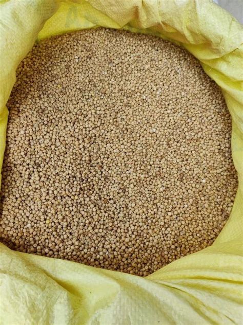 Powder Sorghum Cattle Feed Packaging Type Pp Bag Packaging Size