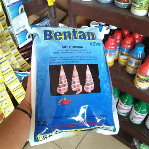 promo moluskisida bentan  wp  gr diskon   seller rumahku