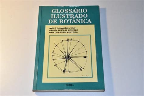 Livro Gloss Rio Ilustrado De Nica Em Bom Estado Em Curitiba