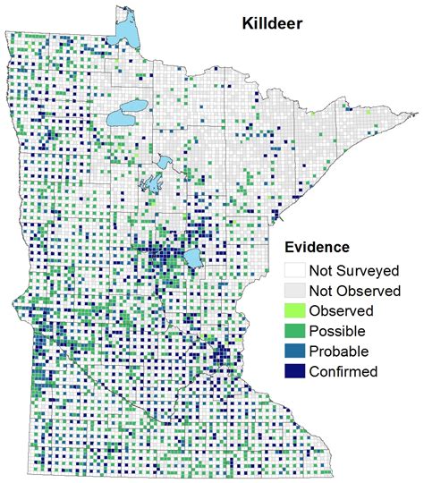 Killdeer : Minnesota Breeding Bird Atlas