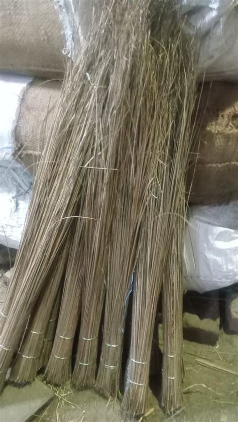 Phool Jhadu And Coconut Broom At Rs Piece Nariyal Jhadu In Kanpur