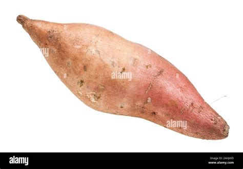 Fresh Sweet Potato Ipomoea Batatas Batata Isolated On White